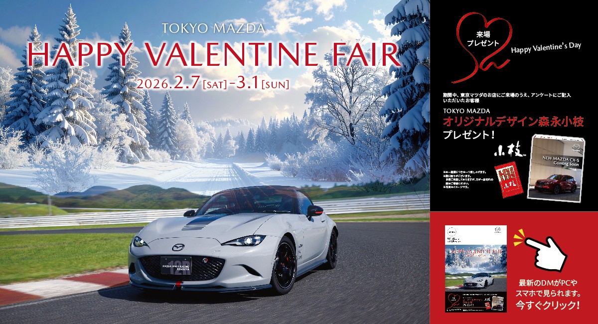 HAPPY VALENTINE FAIR